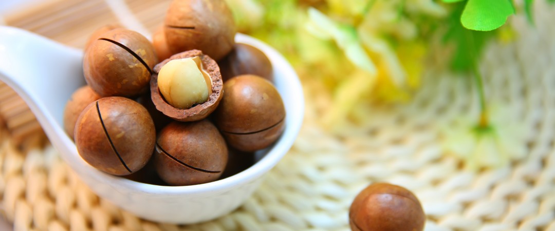 macadamia-nuts-nut-protein-1080x450.jpg