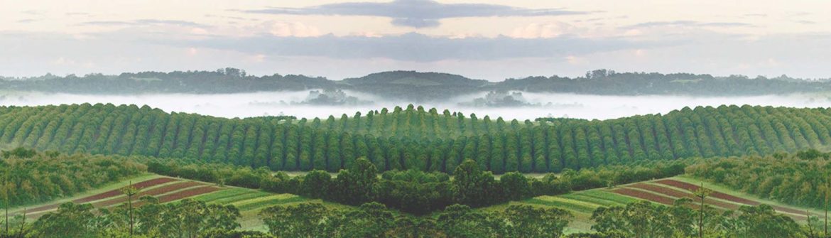 banner-new-03.jpg