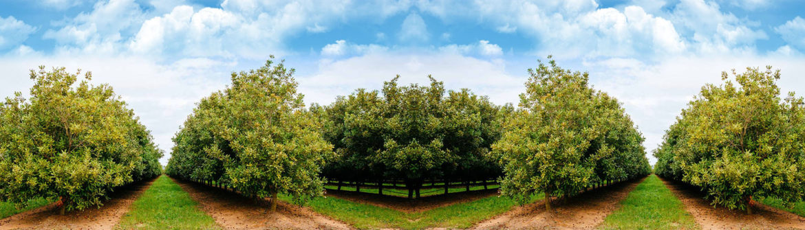 banner-new-04.jpg