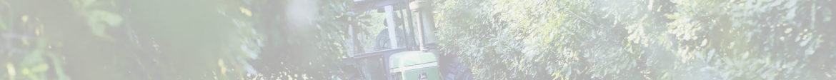 banner-static-2.jpg