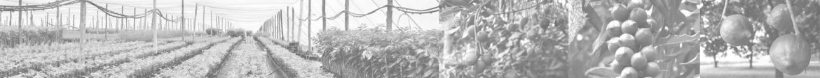 banner-static-3.jpg