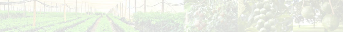 banner-static-4.jpg