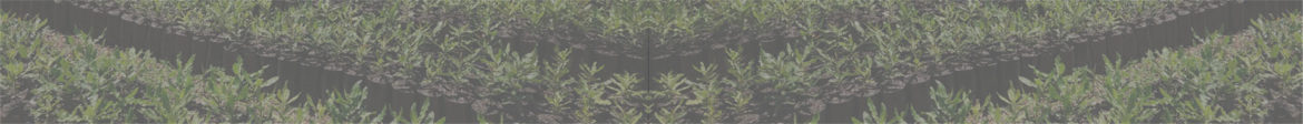 banner-static2.jpg
