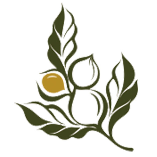 cropped-icon.jpg
